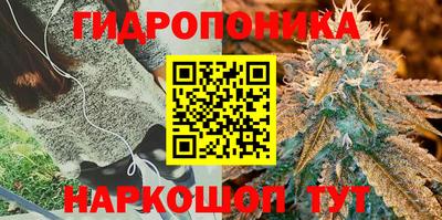 jwh Краснознаменск